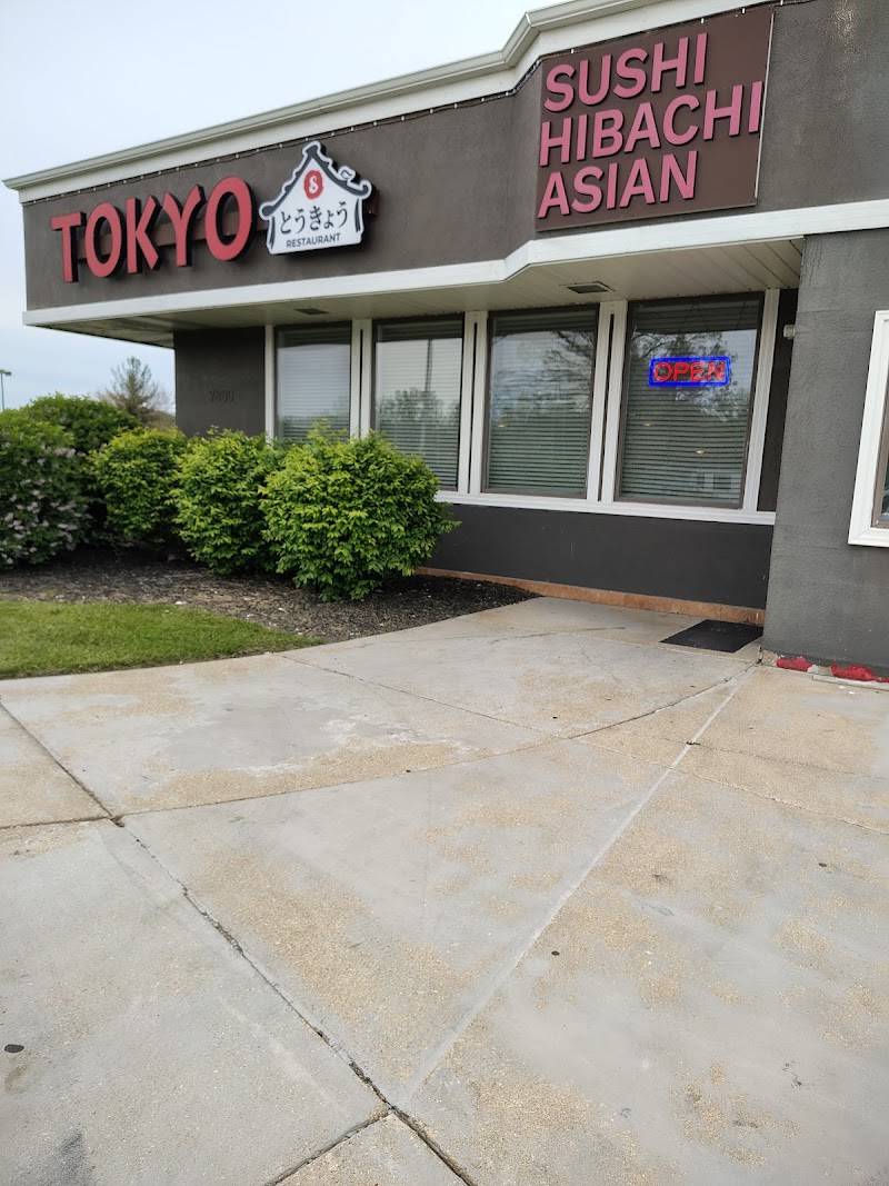 Tokyo 8